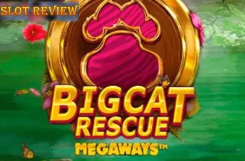 Big Cat Rescue Megaways Slot Review